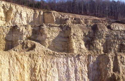 Aufg. Steinbruch Saurücken am nordwestlichen Stadtrand von Ehingen Blick auf eine abgestufte Steinbruchwand mit gelblich braunem Gestein. Die Kuppe ist bewaldet.