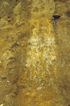 Der untere Teil des Boden- und Deckschichtenprofils in der Ziegeleigrube Hüttisheim-Humlangen Unterer Teil eines bräunlich gelben Bodenprofils in einer Ziegeleigrube. Rechts oben liegt ein Klappspaten. Links und darunter ist die Profilwand teils weißlich gefärbt.