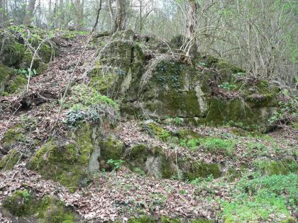 Der Rüttefelsen westlich von Eichstetten Blick auf eine hügelartige Erhebung aus graugrünem, stark bemoostem Gestein.