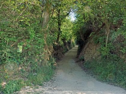 Blick auf den Eingang eines Hohlweges. Im Vordergrund rechts macht der Weg eine Krümmung, die dortige Böschung ist steil und höher als die Hohlwegwände auf der linken Seite. Alle Böschungen sind stark zugewachsen.