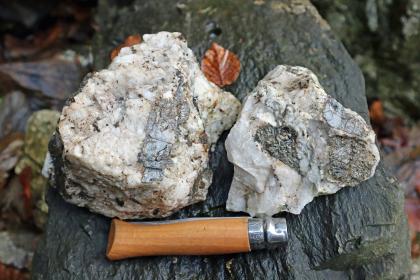 Ehemaliger Amphibolit-Steinbruch auf der Nordseite des Fuchsköpfles – Handstücke aus weißem bis hellgrauem Ganggestein (Feldspat, Quarz) mit dunklem, bronzefarbig glänzendem Biotit Gezeigt werden hier zwei Handstücke von weißlich grauem Gestein aus einem früheren Steinbruch. Ein Werkzeuggriff dient als Größenvergleich.