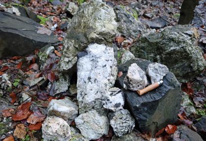 Ehemaliger Amphibolit-Steinbruch auf der Nordseite des Fuchsköpfles – Auswahl von Ganggesteinsstücken mit wechselnden Anteilen und Kristallgrößen von Quarz, Feldspat und Glimmer (Biotit) Blick auf mehrere unterschiedlich große, weißliche Gesteinsstücke aus einem früheren Steinbruch. Rechts liegen zwei helle Handstücke auf einem schwarzgrauen Block. Ein Werkzeug dient als Größenvergleich.