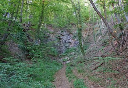 Blick in den aufgelassenen Steinbruch am Fuchsköpfle, Freiburg-Herdern Blick auf eine hufeisenförmig angelegte ehemalige Steinbruchwand in einem Wald. Die Frontseite in der Bildmitte, auf die ein Weg zuführt, zeigt noch weitgehend freiliegendes Gestein, während die Seitenwände bereits stark zerfallen und bewachsen sind.