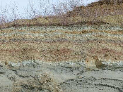Ziegeleigrube in der Unteren Süßwassermolasse südwestlich von Mengen – bunte Mergel über grauem Sand Teilansicht einer Abbauwand in einer Ziegeleigrube. Zu sehen sind rötlich gestreifte Mergelschichten über grauem Sand.