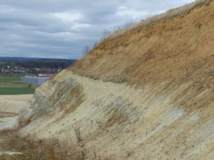Ziegeleigrube südwestlich von Mengen mit Blick über das Ablachtal Seitlicher Blick auf eine Abbauwand in einer Ziegeleigrube. Die in der oberen Hälfte braune, darunter gelblich graue Wand fällt schräg von rechts oben nach links unten ab. Im Hintergrund links ist eine Siedlung erkennbar.