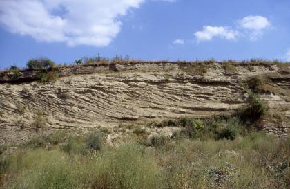 Aufgelassene Sandgrube im Gewann Gertenstock in der Oberen Meeresmolasse bei Hohentengen-Ursendorf Blick auf eine halbhohe, längliche Gesteinswand mit wellenartigen Schichtungen. Die Wellen des bräunlich grauen Gesteins verlaufen nach links. Oben sowie rechts und am Fuß des Aufschlusses zeigt sich Pflanzenwuchs.