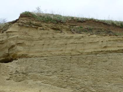 Aufgelassene Sandgrube im Gewann Gertenstock in der Oberen Meeresmolasse bei Hohentengen-Ursendorf Teilansicht einer grünlich braunen Sandgrubenwand mit unterschiedlichen Schichtungen. Die Schichtungen - unten gröber, oben glatter und streifig - liegen wie umgekehrte Dreiecke aufeinander. Oben liegt eine Pflanzendecke auf.