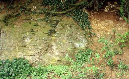 Straßenanschnitt nödlich der Berghauser Kapelle am Schönberg bei Ebringen Teilansicht einer Straßenböschung mit freiliegendem Gesteins- und Bodenmaterial sowie zugewachsenen Bereichen oben und unten. Die Farben von Gestein und Boden wechseln von grünlich braun links zu rötlich braun im rechten Bildteil.