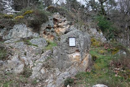 Das Quarzriff an der Sophienruhe südlich von Badenweiler Blick auf eine graue, teils auch bräunliche Felsformation, deren oberer Teil bewachsen ist. Bei den Felsen handelt es sich um ein Quarzriff.