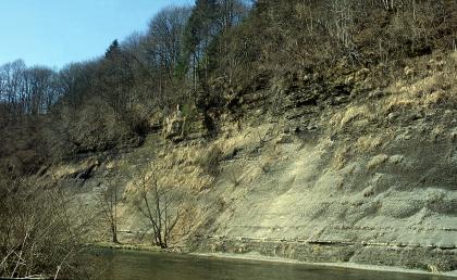 Kocherprallhang bei der Grimmbachmündung südlich von Braunsbach Seitlicher Blick auf einen Fluss sowie einen am rechten Ufer aufragenden, leicht schräg abfallenden Steilhang. Der obere Teil des Hanges ist dicht bewaldet.