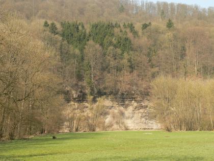 Schwemmfächer des Grimmbachs und Kocheraue am Kocherprallhang südlich von Braunsbach Blick auf eine Wiese im vorderen Bildteil sowie einen daran angrenzenden Steilhang mit freiliegendem, gelblichen Gestein sowie hohen, die Kuppe besetzenden Bäumen. Zum Hintergrund hin wird der Prallhang dann zu einem bewaldeten Berghang.
