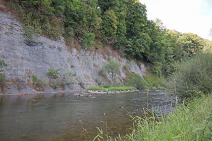 Seitlicher Blick auf einen Flusslauf sowie an dessen linkem Ufer steil aufragenden Prallhang. Der obere Teil des Steilhanges ist dicht bewaldet.