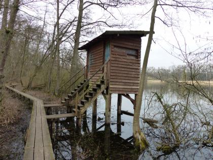 Niederung westlich der B3 bei Weingarten (Baden) – Weingartener Moor Im Bildmittelpunkt ist eine hölzerne Aussichtskanzel. Sie ist überdacht und steht auf Stelzen am bewaldeten Ufer eines Sees, der rechts davon zu erkennen ist. Links führt ein Bohlenweg an der Kanzel vorbei.
