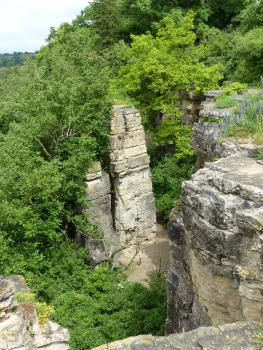 Hessigheimer Felsengärten Von erhöhtem Standort aus blickt man auf eine sich rechts hinziehende Felsenmauer sowie zwei isoliert stehende Felstürme in der Bildmitte. Mauer und Türme sind von dichtem Buschwerk und Bäumen umgeben.