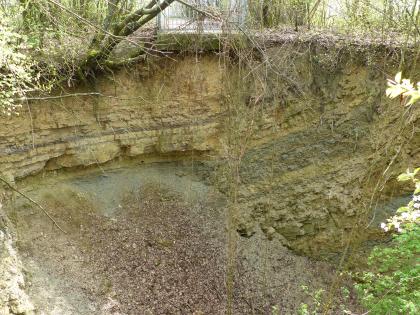Das Neue Eisinger Loch östlich von Eisingen Blick in eine große Bodenöffnung. In der Vertiefung sind links oben und rechts gelblich braune, waagerecht bis leicht schräg gebankte Gesteinsschichten zu sehen. Links unten schließt sich eine Schutthalde an.