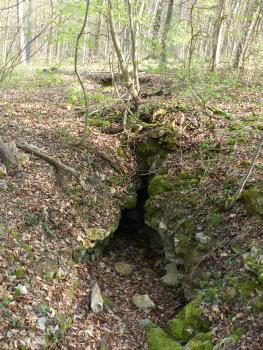 Felsspalten (Abrissklüfte) an der östlichen Schulter des Enztals im Bietigheimer Forst Das Bild zeigt einen schmalen dunklen Felsspalt in einem von Laub bedeckten Waldhang. Zum Hintergrund hin sind weitere Spalten erkennbar.