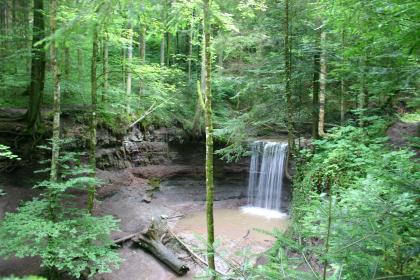 Untere Hörschbachklinge mit Wasserfall südwestlich von Murrhardt Von dichtem Wald umschlossener runder Gesteinskessel, in den rechts der Bildmitte ein Wasserfall stürzt. Das Wasser des Falls hat auf dem Grund des Kessels ein flaches Becken gebildet.