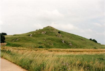 Felsgruppe nördlich von Bopfingen-Trochtelfingen Blick auf einen grünen Hügel, aus dem an mehreren Stellen Felsen herausragen. Im Vodergrund befindet sich eine hohe Wiese sowie ein Getreidefeld.