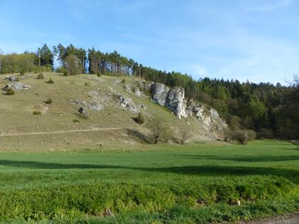 Hinter eine Wiese erhebt sich in der linken Bildhälfte ein hellgrüner bis gräulicher Hang, welcher von großen Felsen durchsetzt ist. Von der rechten Seite aus ist der Hang bis zur Kuppe mit Bäumen bewachsen.