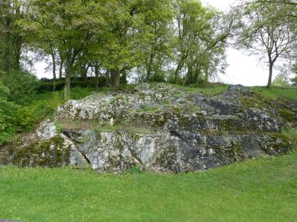 Das Heldenfinger Kliff am nordöstlichen Ortsrand von Gerstetten-Heldenfingen Blick auf einen länglichen Felsenhügel, der auf einer Wiese aufliegt. Das hell- bis dunkelgraue Gestein ist teils stark bemoost. Im Hintergrund stehen Bäume.