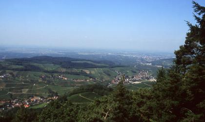Der Bürstenstein bei Kappelrodeck ist ein schöner Aussichtspunkt und Station eines geologischen Wanderwegs Blick aus großer Höhe über Baumspitzen auf eine hügelige, teils terrassierte Landschaft. Im Hintergrund breitet sich eine weite, besiedelte Ebene aus.