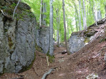 Das Bild zeigt einen schmalen Waldpfad, auf dessen linker Seite sich eine dunkelgraue, halbhohe Felswand erhebt. Rechts ist ein niedrigerer Felsblock zu sehen, davor liegt eine Böschung.