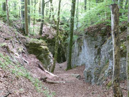 Dettinger Höllenlöcher ca. 2000 m südlich von Dettingen an der Erms Blick auf einen schmalen Waldpfad, der zum Hintergrund hin in eine enge Felsschlucht führt. Rechts führen Felswände auf den Betrachter zu; sie sind graublau, halbhoch und oben bewachsen. Links ist ein einzelner Felsblock zu sehen, davor eine Böschung.