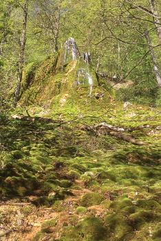 Im Hintergrund dieses Bildes erheben sich zwei höckerartige Felsvorsprünge, über die Wasser läuft. Sie sind von dichtem Wald umgeben. Im Vordergrund, entlang eines nach links führenden Bachlaufes, verteilen sich zahlreiche Moospolster.