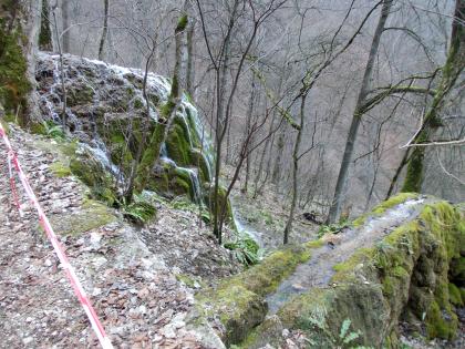 Gütersteiner Wasserfall bei Bad Urach – Blick von oben auf zwei Kalktuffvorsprünge Blick von oben über eine Felskante auf einen moosbewachsenen, höckerartigen Wasserfall links und eine bemooste Felsenbrücke rechts, über die ebenfalls Wasser, wie in einer Rinne, fließt. Im Hintergrund stehen kahle Bäume.