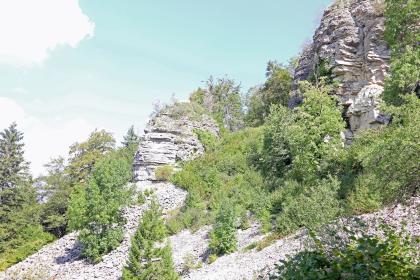 Nordteil des Bollerfelsens mit Felsnadel und Blockschutthalde im Naturschutzgebiet Brandhalde bei Oberndorf am Neckar Blick auf einen nach rechts steil aufsteigenden Felshang mit hellem Gestein. Links der Bildmitte erhebt sich eine oben abgerundete Felsnadel. Im unteren Hangteil liegt Blockschutt. Dazwischen wachsen Bäume und Büsche.