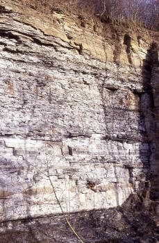 Posidonienschiefer am Prallhang des Reichenbachs in Hechingen-Stetten Seitlicher Blick auf eine hohe Gesteinswand. Die Steilwand zeigt drei unterschiedliche Schichten: Schwarzgrau am Fuß der Wand, weißlich grau und glatt bis plattig im Hauptteil sowie gelblich braun unterhalb der bewachsenen Kuppe.