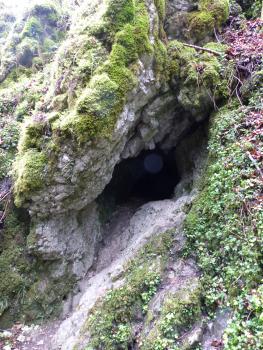 Die Felsgruppe Steinkreuz aus Oberem Massenkalk des Oberjura an der Einmündung des Großen Lautertals in das Donautal Blick auf einen nach rechts ansteigenden steilen Felshang. In der Mitte öffnet sich zwischen wulstartigen, von Moos und Gestrüpp bewachsenen Gesteinsblöcken eine kleine, fast runde Höhle ähnlich einem Auge.