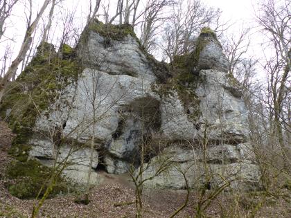 Felswand mit Höhleneingängen im Bittelschießer Täle westsüdwestlich von Bingen Blick auf eine hohe Felswand. Das graue, teils bemooste Gestein weist oben mehrere markante Felshöcker sowie unten eine Höhlenkammer auf. Mehrere kahle Bäume umstehen die Felswand.