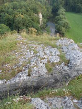 Gespaltener Fels an der Donautalstraße 300 m westlich der alten Talschlingen bei Sigmaringen-Laiz Blick von oben auf einen quer im Bild liegenden Felsblock. Das hellgraue Gestein ist auf der Oberfläche bemoost und mit Gras bewachsen. Im tiefer liegenden Hintergrund, rechts oben, ist ein von Wald und Bäumen gesäumter Fluss sichtbar.