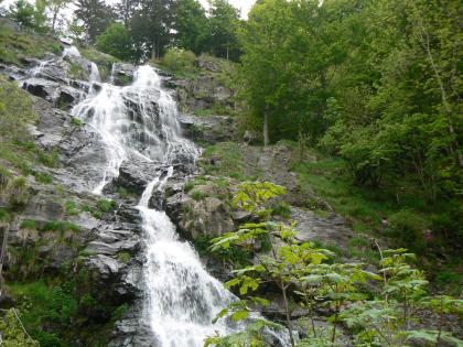 Wasserfall bei Todtnau Aufwärts gerichteter Blick auf einen steilen, nach links aufsteigenden Felsenhang. Über mehrere Stufen stürzt hier Wasser den Hang hinab. Rechts begrenzt Wald den Felsenhang.