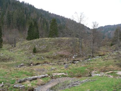 Endmoränenwälle bei der Menzenschwander Kluse, St. Blasien-Menzenschwand Im Bildmittelpunkt steht hier ein bräunlich grüner, länglicher Erdwall mit vereinzeltem Baumbestand. Im Vordergrund fließen zwei schmale, voneinander getrennte Bäche von rechts nach links. Im Hintergrund steigen bewaldete Hänge auf.