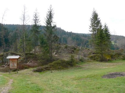 Rundhöcker bei St. Blasien-Menzenschwand Das Bild zeigt eine hochgelegene Wiese mit einer höckerartigen Erhebung aus Gesteins- und Bodenmaterial. Auf und neben dem Höcker wachsen Bäume und Sträucher. Links steht eine Hinweistafel. Im Hintergrund sind bewaldete Berge erkennbar.