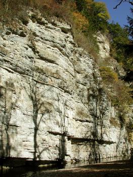 Felswand am Prallhang der Wutach (Wutachschlucht) Blick auf eine senkrecht aufragende, nach rechts hin abgestufte und bewachsene Felswand aus weißlich grauem Gestein. Ganz unten ist ein schmaler Fluss erkennbar, gefolgt von flachem Ufer.