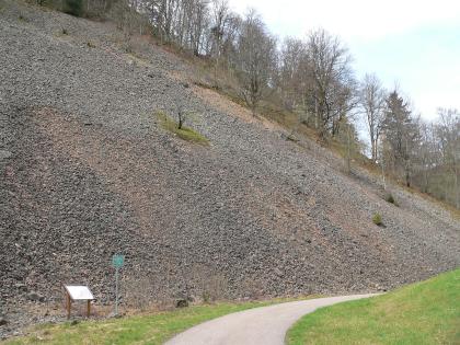 Blockhalde im Präger Kessel Blick auf einen von links oben nach rechts unten verlaufenden, mit losem Gesteinsschutt bedeckten Hang. Am hinteren Teil des Hanges erheben sich verschiedene Bäume.