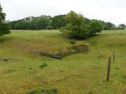 Doline im Gewann Fohren auf dem Dinkelberg bei Steinen-Hüsingen Auf einem eingezäunten, nach hinten hin ansteigenden Wiesenhang befindet sich eine schüsselförmige Vertiefung. Im vorderen Teil der Vertiefung liegt Totholz. Dahinter wächst ein Sumpf. Am oberen Ende der Vertiefung stehen Bäume.