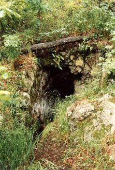 Tierlenbergstollen bei Berau Blick auf einen alten, rechts und links stark zugewachsenen Stolleneingang. Oben, über dem Eingang, liegt quer ein dünner Baumstamm.