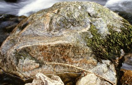 Glattgeschliffener Block aus Gneis der Murgtal-Gneisanatexit-Formation am Oberen Haselbach-Wasserfall bei Indlekofen (Lkr. Waldshut-Tiengen) Nahaufnahme eines rötlich bis grünlich grauen Felsblocks mit glatten, abgerundeten Kanten. Hinter dem Block ist fließendes Wasser erkennbar.