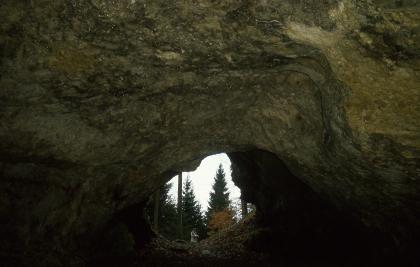 Blick aus dem Inneren einer Höhle nach draußen. Der Ein- beziehungsweise Ausgang ist nach oben hin spitz, unten schräg verlaufend und abgerundet. Die hohe Höhlendecke ist dunkelbraun gefärbt.