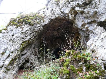 Eingang der Höhle Kätherenküche am Nordhang des Brieltals östlich von Ehingen-Briel Nahsicht auf den rundlichen Eingang einer Höhle. Die Höhle befindet sich in einem nach links abfallenden Felshang. Das Felsgestein ist hellgrau und teils mit Moos bewachsen.