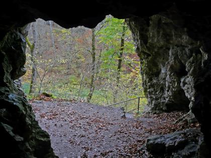 Höhle Kätherenküche – Blick durch den Eingang ins Brieltal Blick aus dem Inneren einer Höhle nach draußen auf Wald und angrenzende Wanderwege. Der Höhleneingang ist rechteckig und oben gezackt.