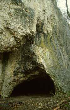 Die Sirgensteinhöhle nordöstlich von Schelklingen Blick auf eine steil nach links aufssteigende, ausgebleichte Felswand. Im oberen Bereich ist eine Nische, am Fuß des Gesteins, auf Bodenhöhe, eine Höhlenöffnung sichtbar.