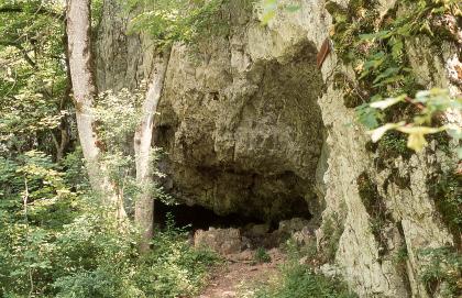 Blick auf eine steile, rechts zum Vordergrund hin abknickende Felswand. Am Fuß des bleichen Gesteins öffnete sich der flache, von zahnartigen Gesteinsbrocken gesäumte Eingang zu einer Höhle. Links stehen Bäume und wächst Gebüsch.