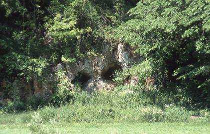 Die „Ochsenlöcher“ im Großen Lautertal bei Anhausen Hinter Gebüsch und von Bäumen fast verdeckt ist weißliches bis graues Gestein erkennbar. Im Fels sitzen zwei runde Höhlenlöcher, ähnlich einem Augenpaar.
