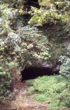 Die Pfaffensteghöhle im Talausgang der Großen Lauter Blick auf eine stark zugewachsene Felswand. Am unteren Ende des Gesteins folgt die ebenfalls bewachsene Böschung eines gerade noch erkennbaren Wasserlaufs. Zwischen Gestein und Böschung klafft ein flacher, mundartiger Höhleneingang.