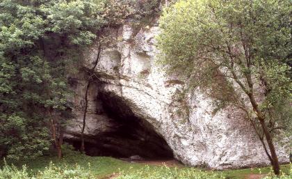 Jägerhöhle südlich von Lauterach Blick auf eine bleiche, von Bäumen flankierte Felswand. In der Bildmitte, am unteren Ende der Wand, öffnet sich eine Höhle. Der nach rechts weisende, verschattete Eingang ähnelt im Umriss einer Pfeilspitze.